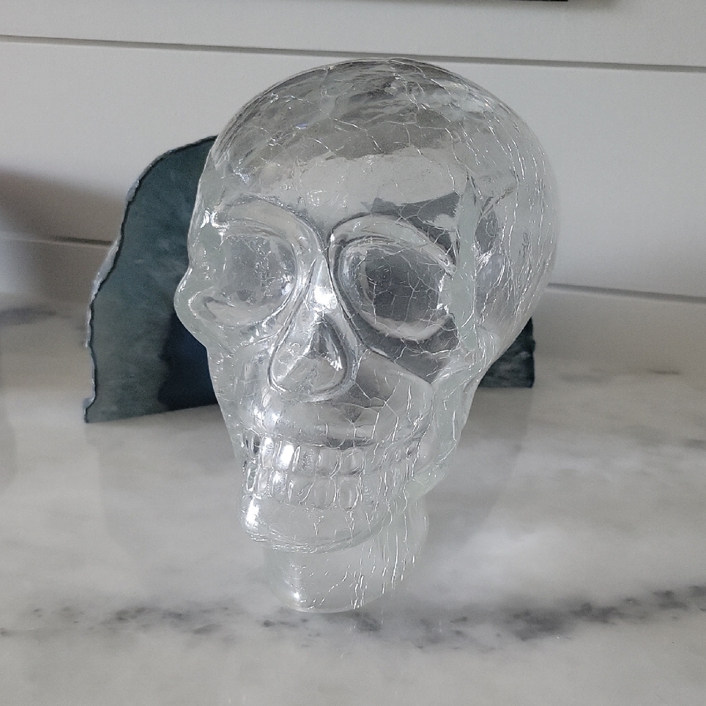 🎃Glass Skull Art Decor